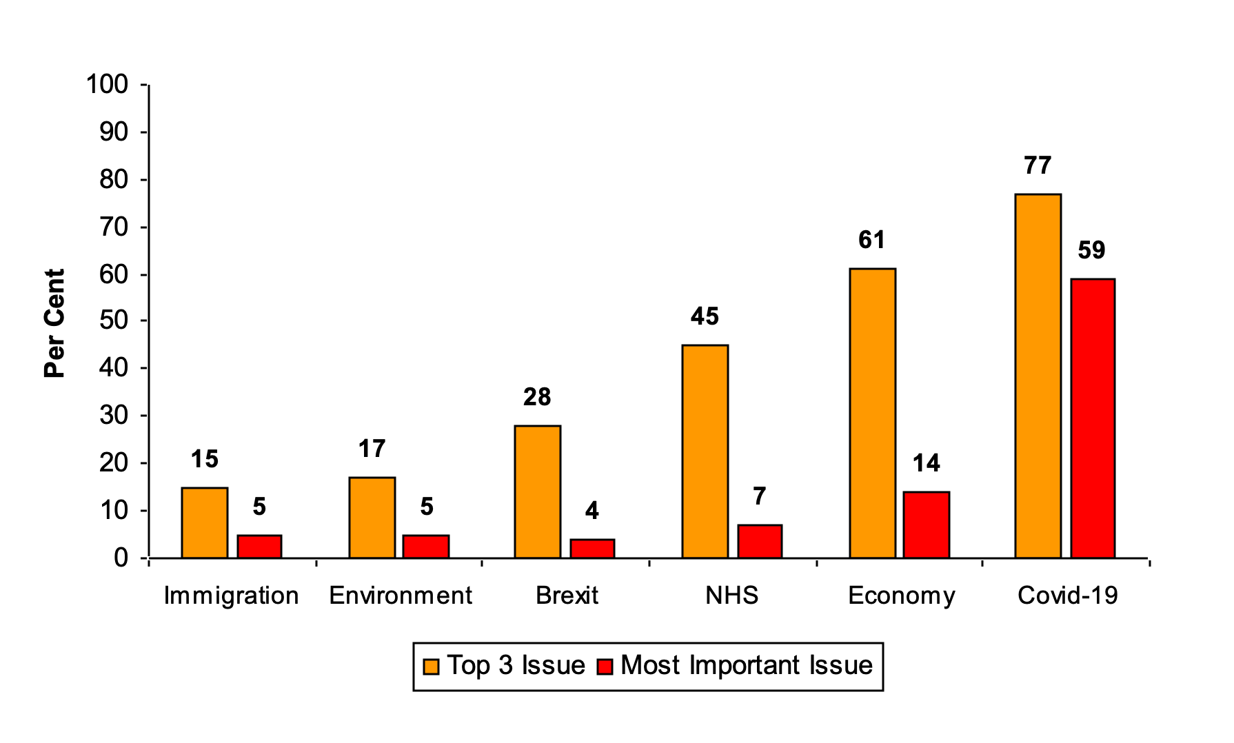 A graph showing that people rated COVID as the most important issue this year, followed by the economy, the NHS and Brexit.