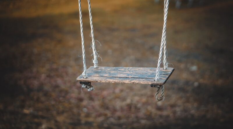 Swing Play Childhood Fun Park  - qimono / Pixabay