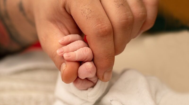 Baby S Hand Newborn Small Hand  - Myriams-Fotos / Pixabay