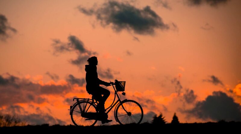 Silhouette Bike Fitness Woman  - renategranade0 / Pixabay