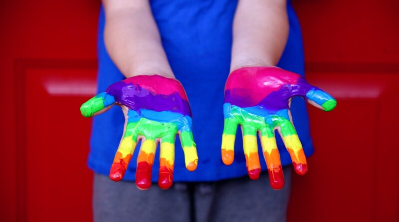 Human Rights Equality Rainbow Lgbt  - SharonMcCutcheon / Pixabay