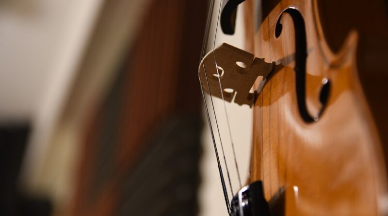 Violin Viola Cello Music Fiddle  - GalNet / Pixabay