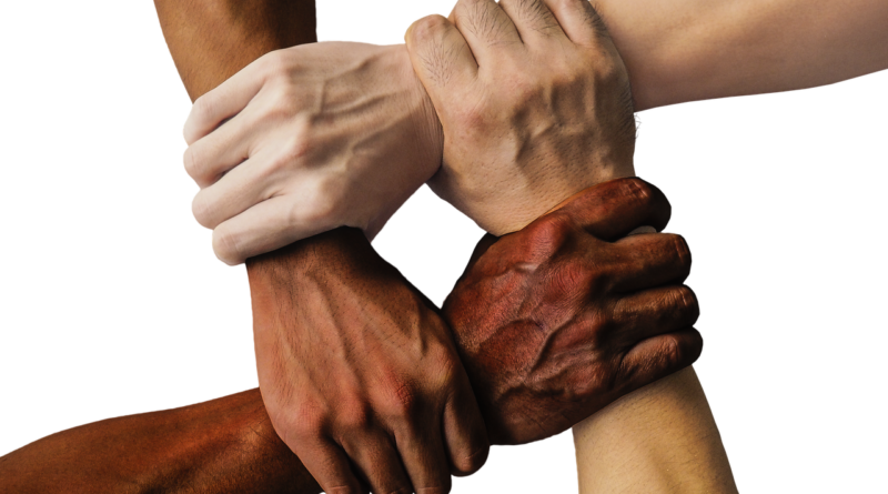 Hands Team United Together People  - truthseeker08 / Pixabay