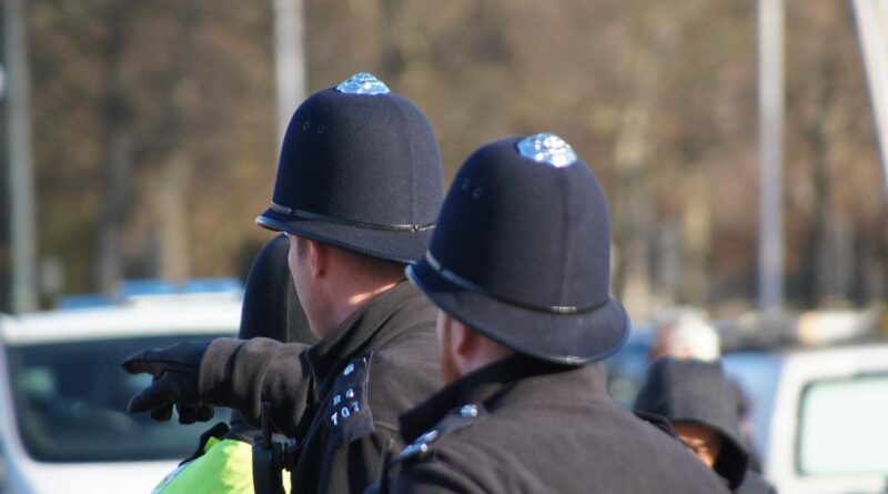 Police Officers England London City  - dagmarbendel / Pixabay