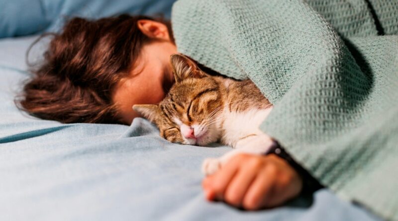 How can I keep my cat happy? 5 tips from a vet to help your feline friend live their best life